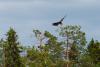 TIR_20130707_3649_1