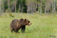 TIR_20130707_3754_1