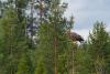 TIR_20130707_3765_1