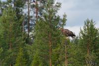 TIR_20130707_3765_1