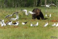 TIR_20130707_3800_1