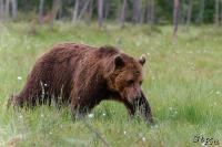 TIR_20130707_3877_1