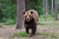 TIR_20130707_4118_1