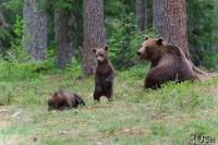 TIR_20130707_4147_1