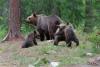 TIR_20130707_4297_1