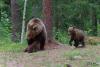 TIR_20130707_4318_1