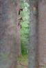 TIR_20130707_4632_1