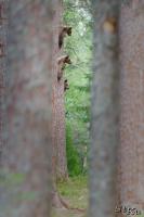 TIR_20130707_4632_1