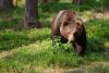 TIR_20130707_4655_1