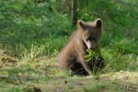 TIR_20130707_4746_1