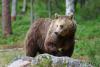 TIR_20130707_4780_1