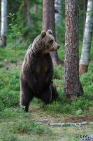 TIR_20130707_4873_1