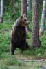 TIR_20130707_4873_1