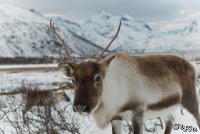 TIR_20140205_8709_1