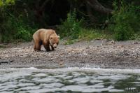 TIR_20140731_4458_1