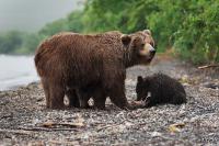 TIR_20140731_4781_1