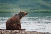 TIR_20140731_4987_1