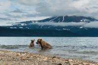 TIR_20140731_5773_2