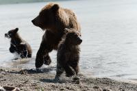 TIR_20140731_5926_1