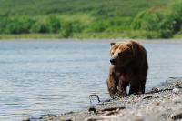 TIR_20140731_5964_1