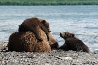TIR_20140731_6002_2