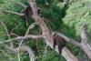 TIR_20140731_6246_1