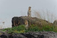 TIR_20140731_6654_2