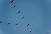 TIR_20141005_8815_1