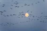 TIR_20141005_8929_1
