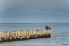 TIR_20141005_8972_1
