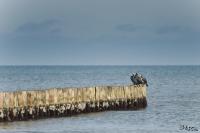 TIR_20141005_8972_1