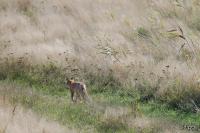TIR_20141005_8984_1