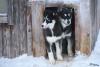TIR_20150110_9431_1