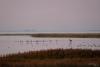 TIR_20160911_6601