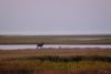 TIR_20160911_6604