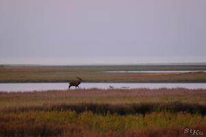 TIR_20160911_6604