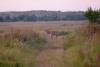 TIR_20160911_6616