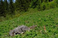 TIR_20170527_9745
