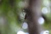 TIR_20180530_3180