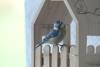 TIR_20230404_0061